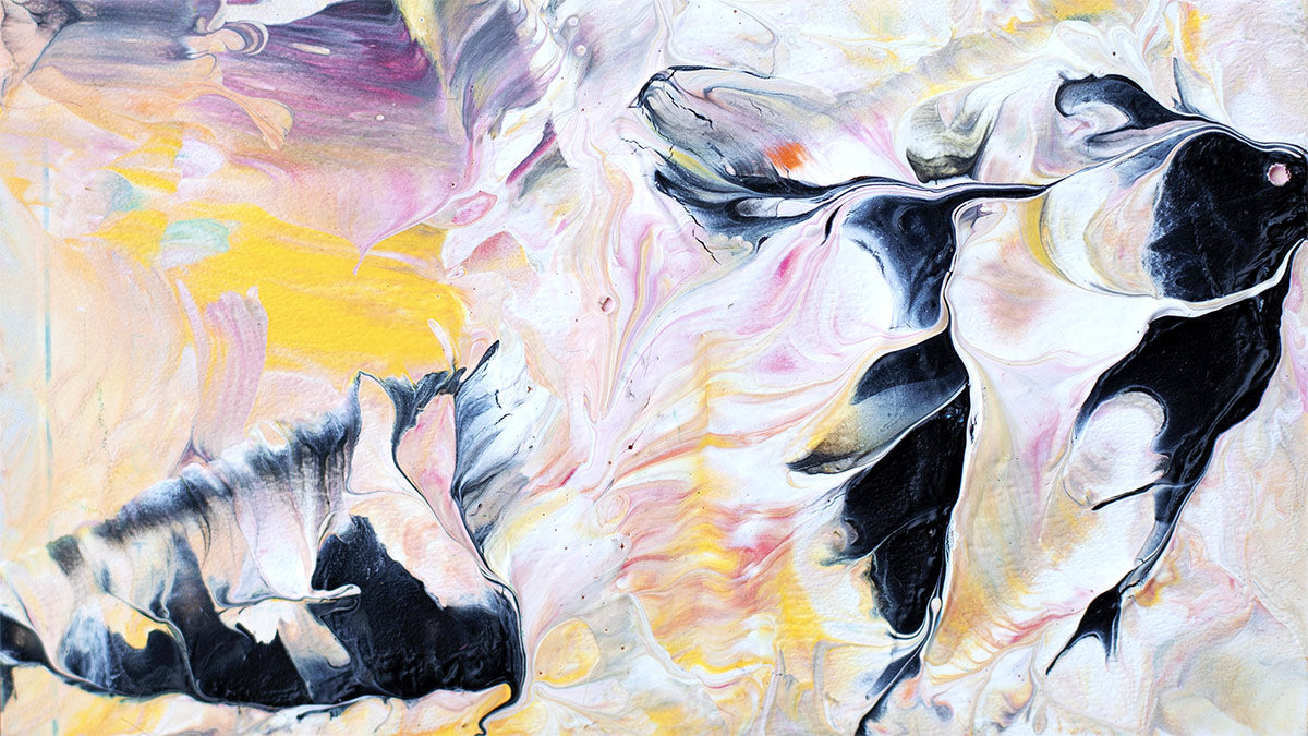 limited Edition Seashell fairwear Hoodie unisex